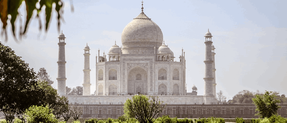 agra-image3